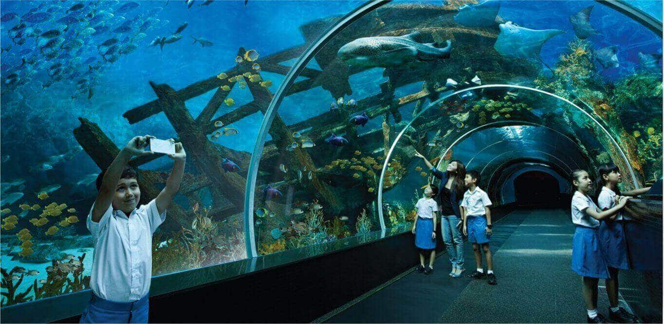 Program Sekolah Dasar - S.E.A. Aquarium