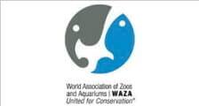 Dolphin Island - World Assocation of ZOo and Aquarium Logo