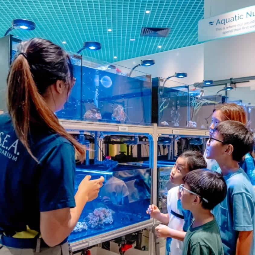 Behind The Scenes: Aquarist Lab 