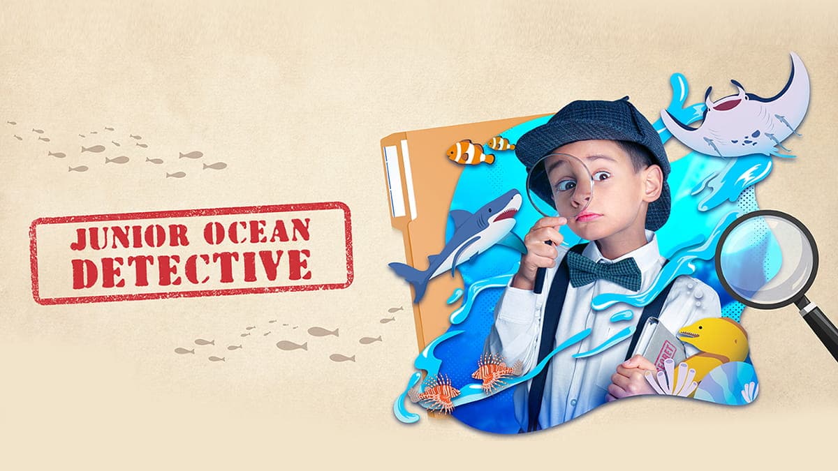 Junior Ocean Detective