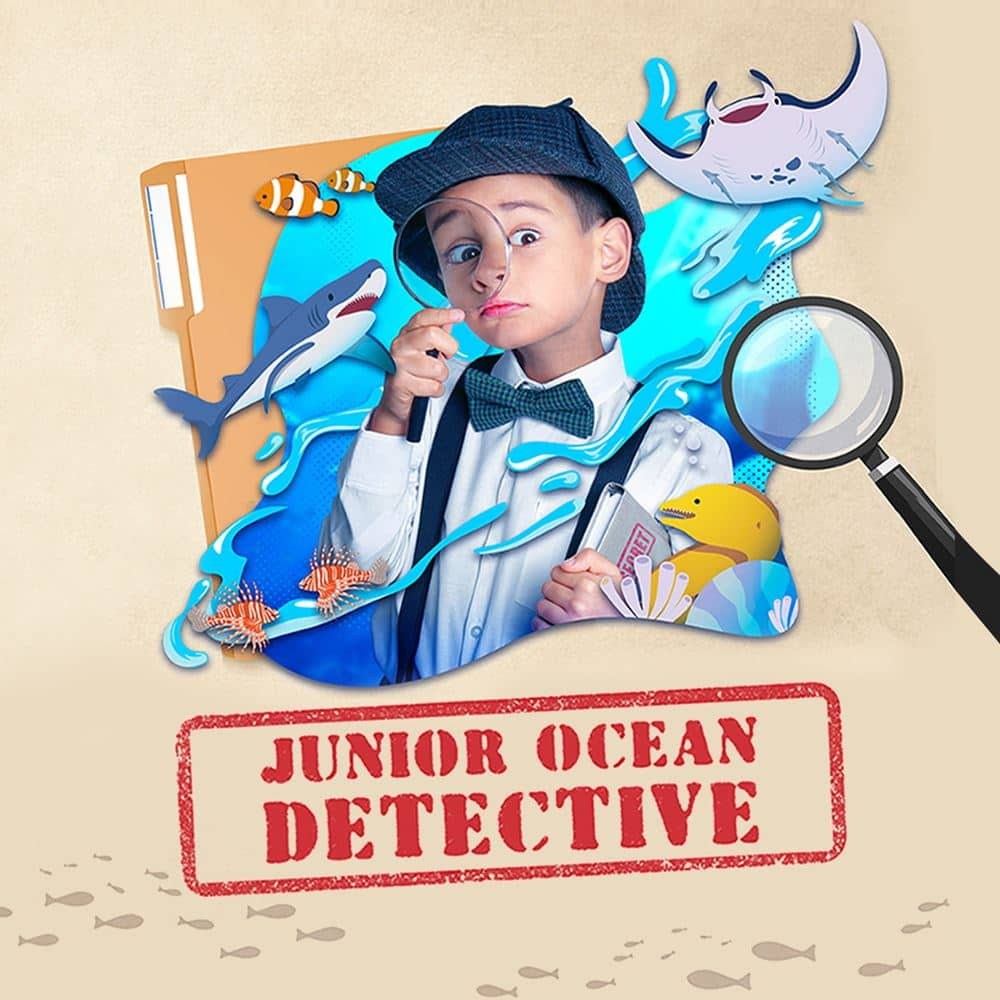 Junior Ocean Detective