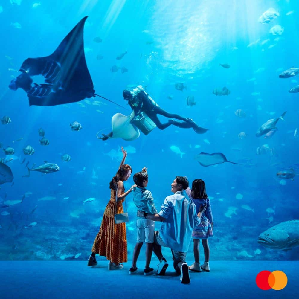 RWS_Mastercard_Promo_Thumbnail