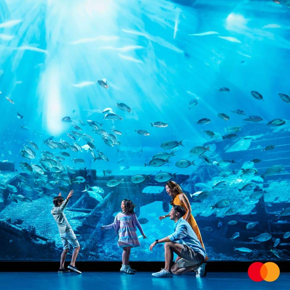 RWS_Mastercard_Promo_Thumbnail