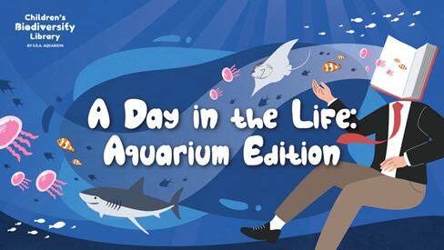 RWS - Children Biodiversity Library - A Day in the Life