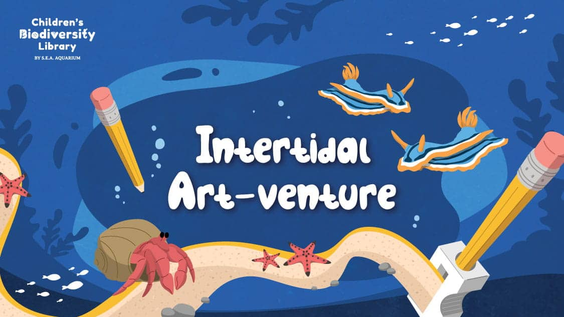 RWS - Children Biodiversity Library - Intertidal ArtVenture