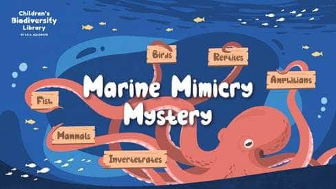 RWS - Children Biodiversity Library - Marine Mimicry Mysetery