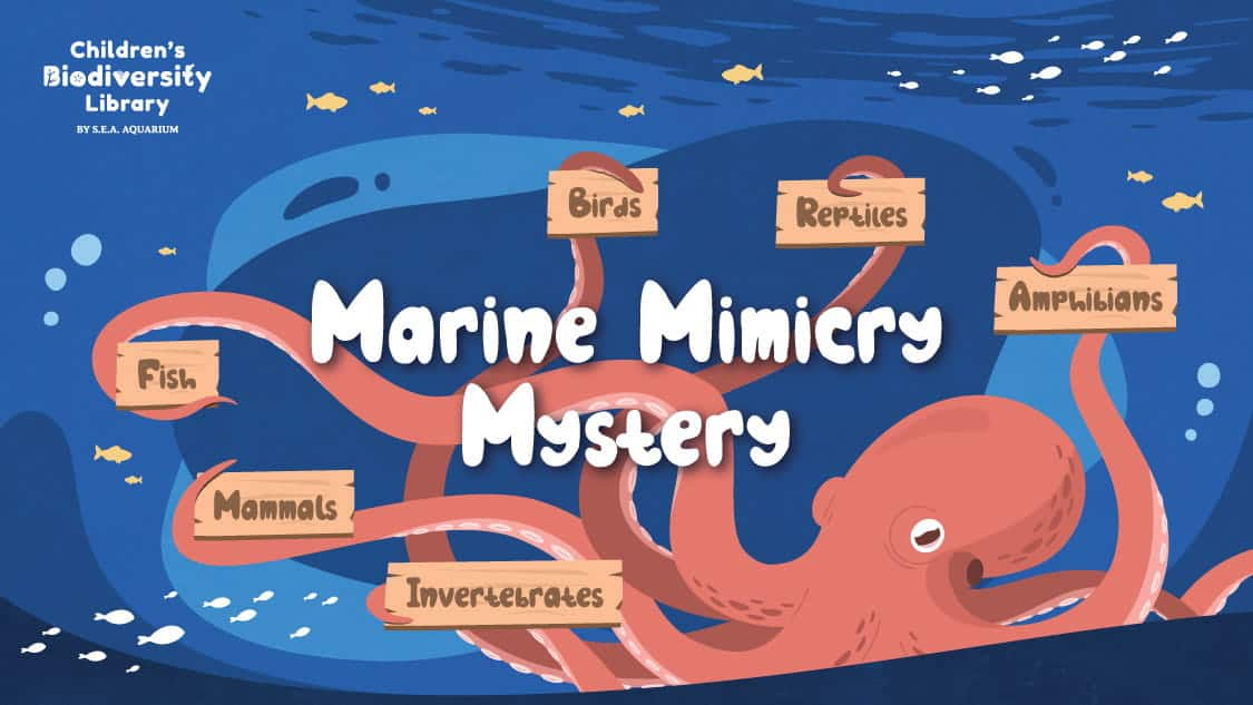 RWS - Children Biodiversity Library - Marine Mimicry Mysetery