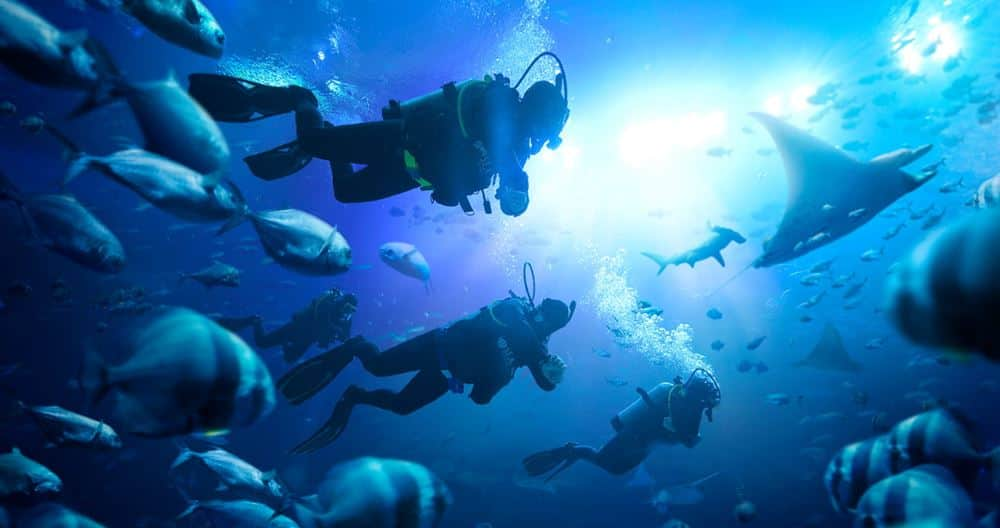 se-discover-scuba-diving-1440x760