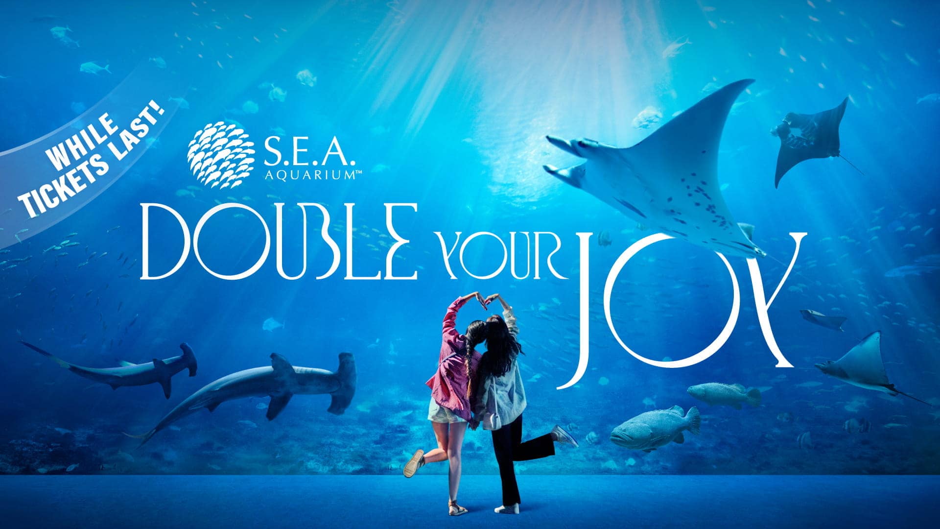 seaa-double-your-joy-banner