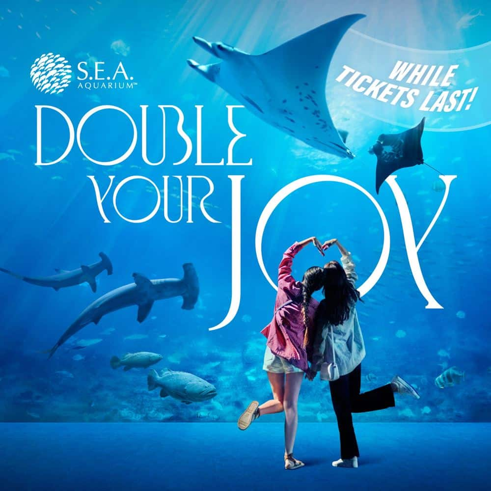 seaa-double-your-joy-thumbnail