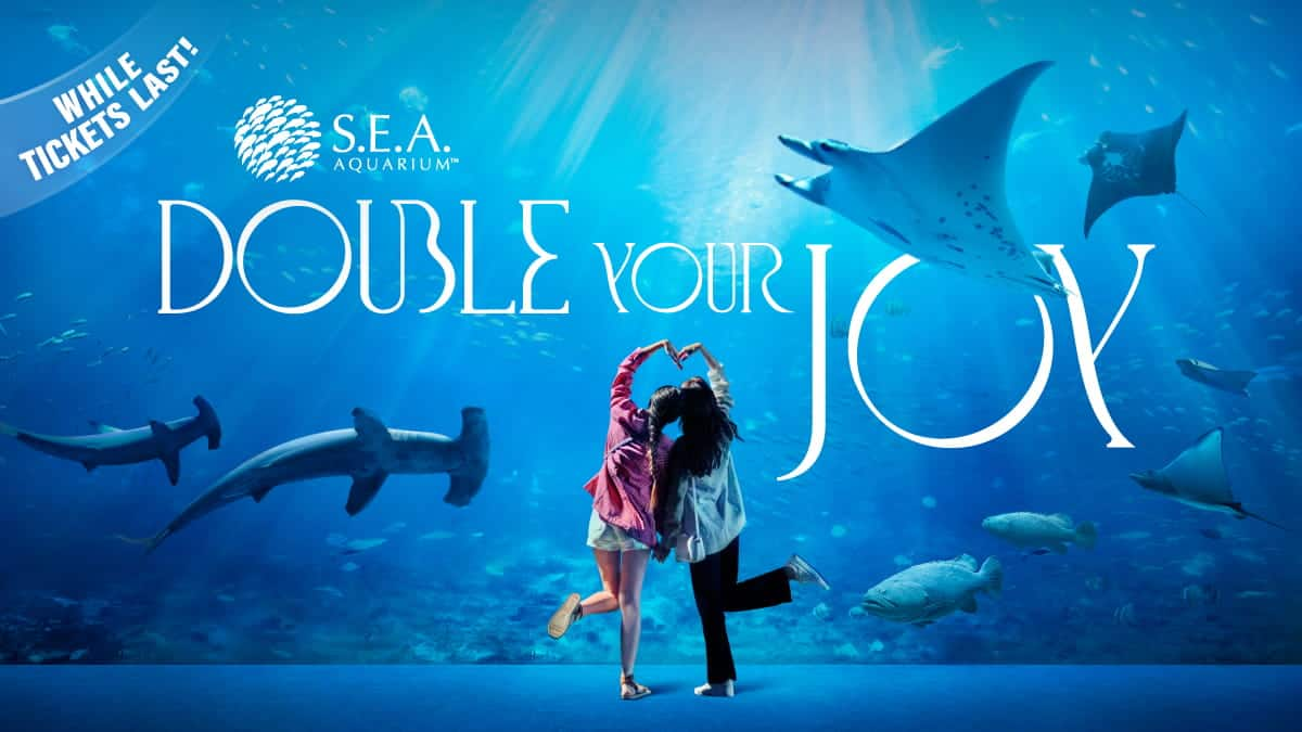 seaa-double-your-joy-thumbnail